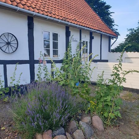 Violen Apartment Akirkeby Exterior photo